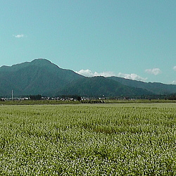 福井県越前市の日野山