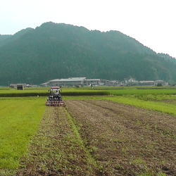 ソバ圃場草刈と耕起