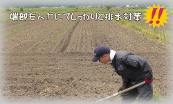 ２０１４年福井県ソバ栽培播種