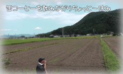 ２０１４年福井県ソバ栽培播種