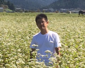 ソバ圃場で花が満開