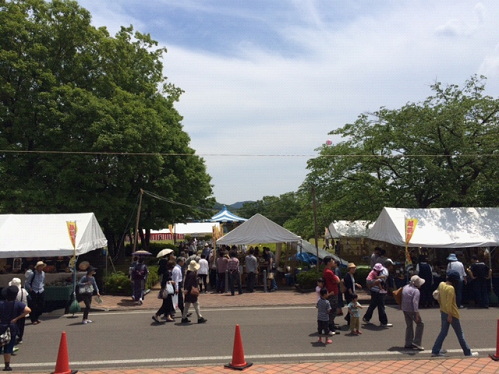 越前陶芸祭りの風景