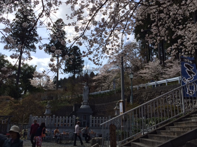 はながたみさくらまつり会場