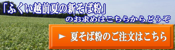 福井夏そば販売中