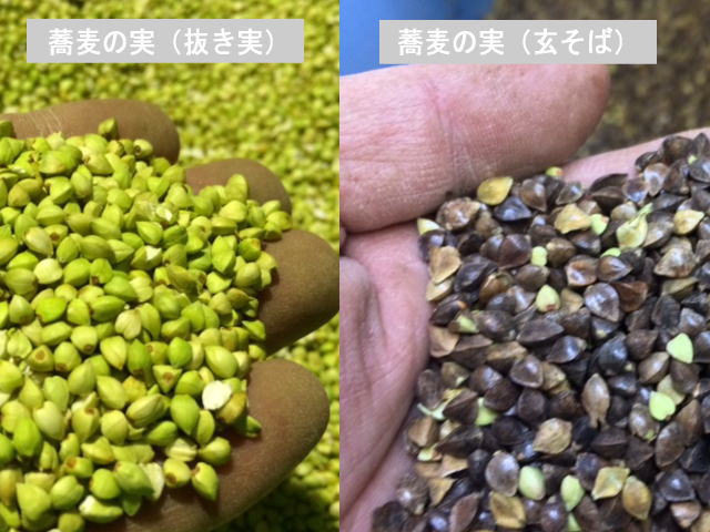 テレビ番組 あさイチ や 得する人損する人 で放映された 蕎麦の実 抜き実 の茹で方と保存方法 増田そば製粉所