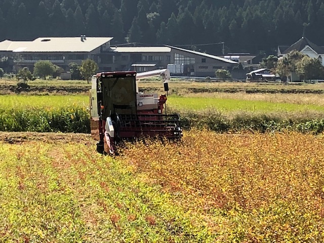 ソバの刈取り風景