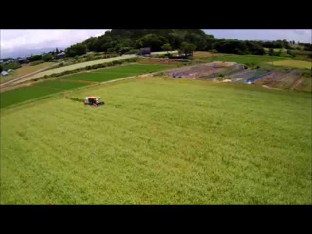 夏そばの収穫作業中を上空よりドローン撮影