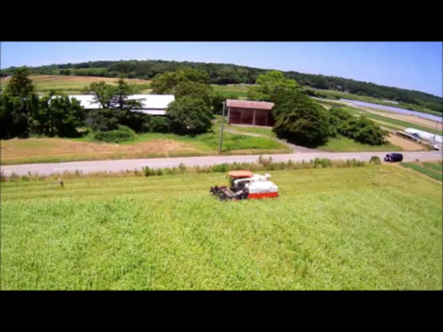 夏そばの収穫作業中を上空よりドローン撮影