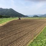 令和2年福井県産秋ソバの播種（種まき）全景状況