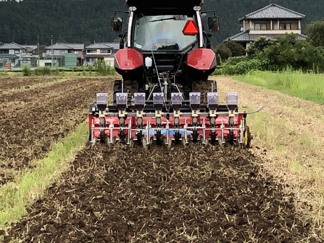 令和2年福井県産秋ソバの播種（種まき）状況