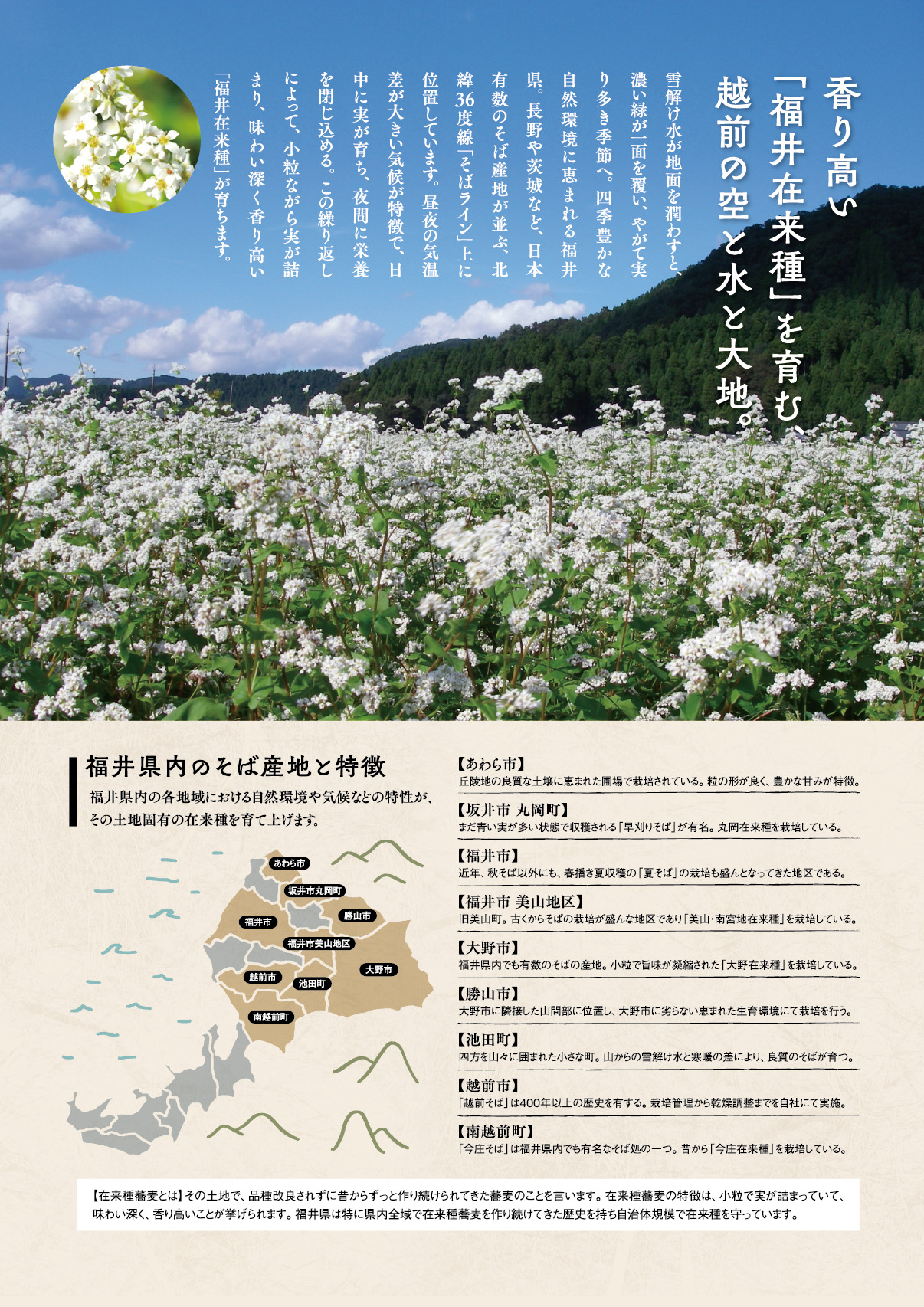 香り高い『福井県在来種』を育む、越前の空と水と大地。福井県内のそば産地と特徴。