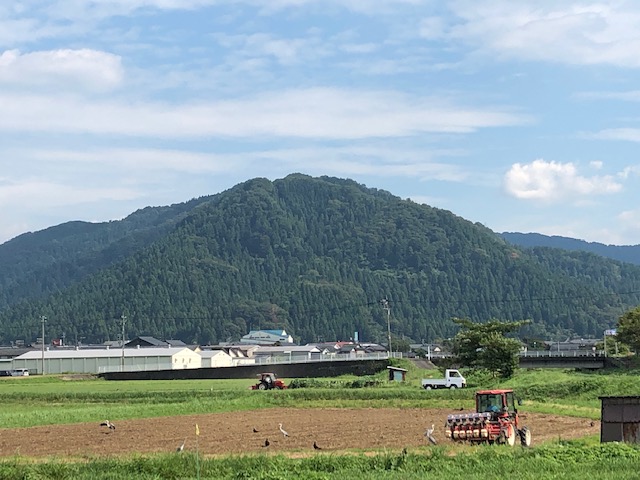 令和3年福井県産秋ソバの播種（種まき）状況