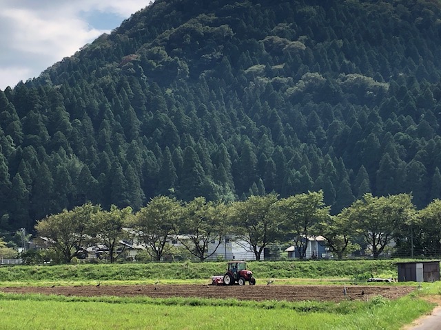 令和3年福井県産秋ソバの播種（種まき）状況