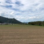 令和5年福井県産秋ソバの播種後の圃場状況