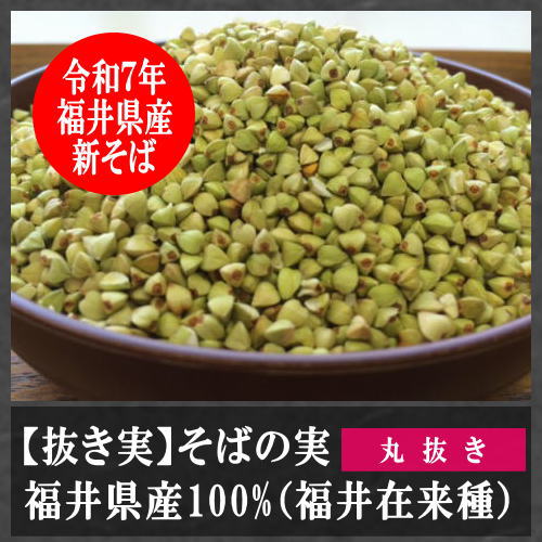 抜き実(丸抜き)福井県産100%(福井在来種)